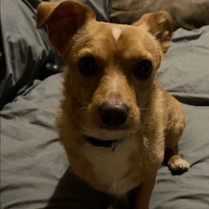 Meet your Posher, Kim